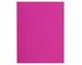 Fuchsia Fuchsia
