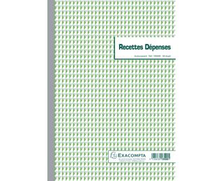 Manifold Recettes dépenses 29,7x21cm 50 feuillets dupli autocopiants