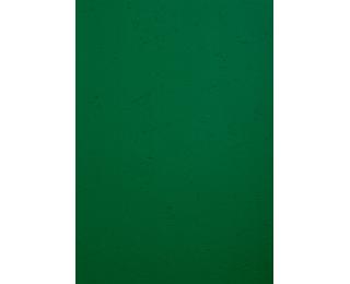 Paquet de 100 couvertures Grain cuir pour reliure A4 - Vert foncé