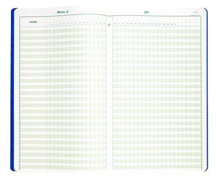 Piqûre 40x24cm - Pointage 46 lignes 80 pages 