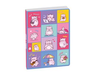 Agenda Forum Color Pembe 12 x 17 cm Journalier Aout 2026 à Juillet 2027 - Funny Day - Bleu