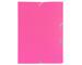 Fuchsia Fuchsia