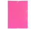 Fuchsia Fuchsia