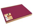 Barquette de 100 sets de table spundbond, unis - Format 30x40cm