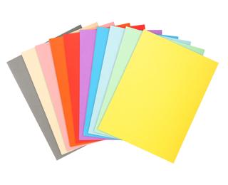 Paquete de 50 Subcarpetas Forever® 170 - 170 g/m2 - Colores surtidos