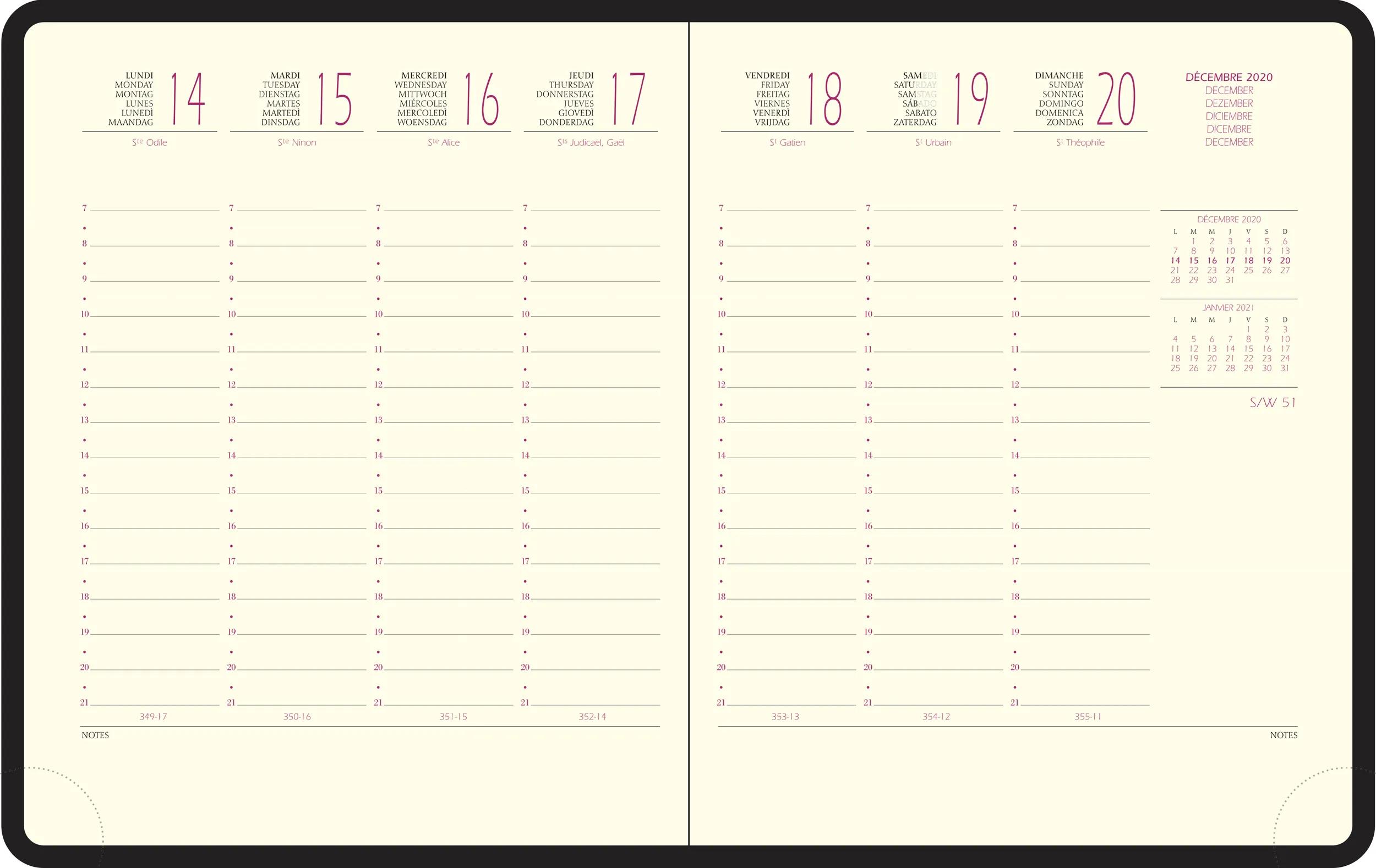 Agenda Semainier 2026 Exacompta Horizons 22 Baby Croco - 22,5x18,5 Cm, Janvier-Décembre, Couverture Amovible - 11