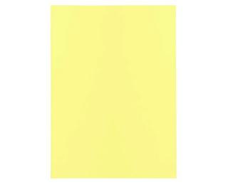 Pack of 100 folders SUPER 60 - 22x31cm - Canary