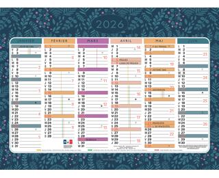 Calendrier illustré Mini Labo 17 x 13 cm Semestriel 2026