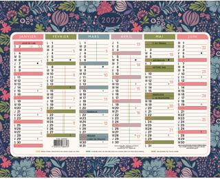 Calendrier illustré Mini Labo 17 x 13 cm Semestriel 2027 - Visuel
