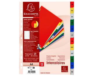 Intercalaires imprimés mensuels PP couleurs Janv-Décembre - A4 - Couleurs assorties