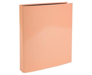 Aquarel Ringbinder Plastic Coated 4Ring 25mm 