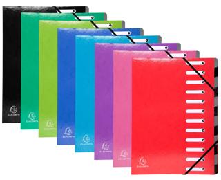Exacompta Iderama Harmonika Multipart File, A4, 12 sections - Assorted colours