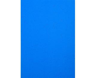 Paquet de 100 couvertures Grain cuir pour reliure A4 