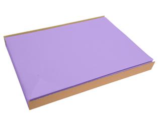 Barquette de 100 sets de table spundbond, unis - Format 30x40cm