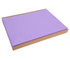 Barquette de 100 sets de table spundbond, unis - Format 30x40cm