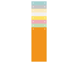Pak van 100 horizontale tabstroken met perforatie 180g - 105x240mm - Geassorteerd