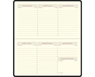 Recharge Agenda de poche Temporel 16 8,5 x 16 cm Semainier Janvier à Décembre 2027 - Tranche or