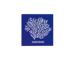 Bleu royal brillant