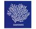 Bleu royal brillant