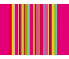 Barquette de 400 sets de table papier gaufré recyclé 80g/m2, Acidulé - Format 30x40cm