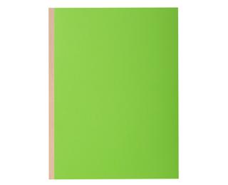 Paquet de 10 chemises à soufflet dos toilé ROCK''S 320g/m2 - 24x32cm - Vert