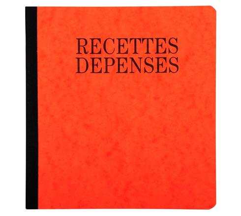 Piqûre Recettes-Dépenses FR A4 80 Pages