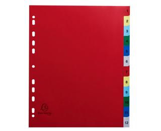 Tabbladen met bedrukte tabs in gekleurde PP - 12 tabs - 1 tot 12 - A4 maxi - Geassorteerde felle kleuren