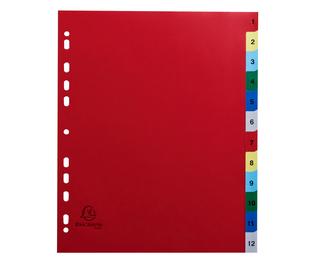 Intercalaires imprimés numériques polypropylène 12/100e - 12 positions - A4 Maxi - Assorties vives